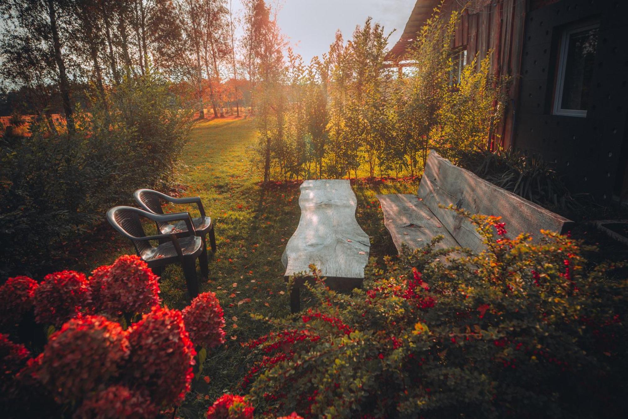 Domki W Gorach Międzylesie Exterior foto